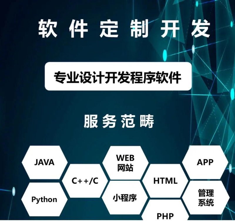 武汉软件开发公司的故事：创业与成长的双重奏